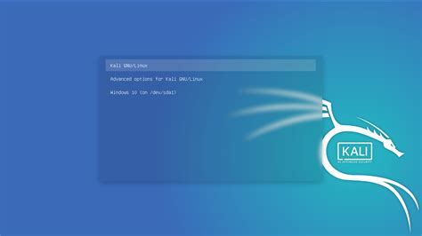 clone disk boot kali linux|kali linux boot disk.